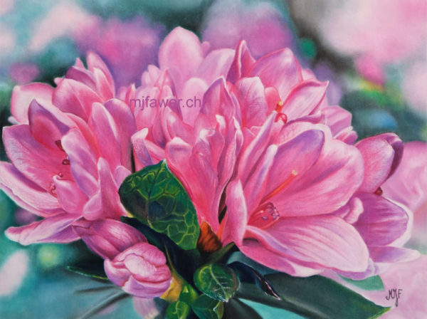 Rhododendrons au pastel sec