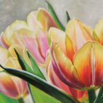 Tulipes au pastel sec