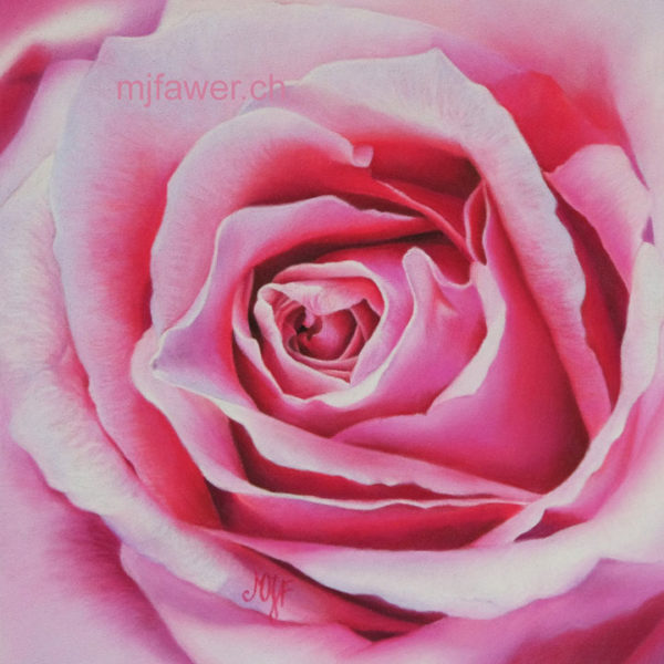 Rose rose au pastel sec, 15x15cm, vendu