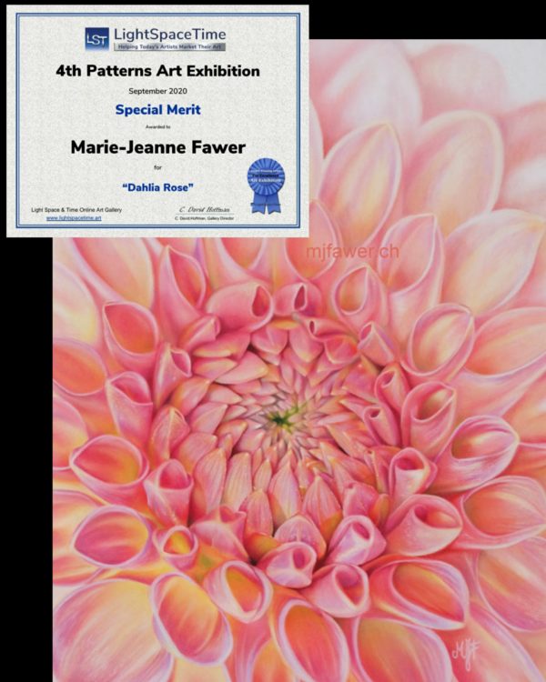 Dahlia rose - pastel sec - special merit LST