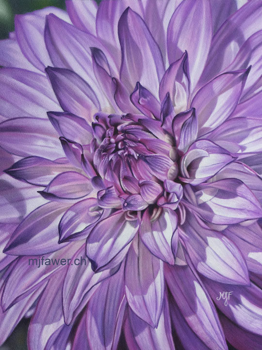 Tableau original au pastel sec - Dahlia violet - Marie-Jeanne Fawer -  Artiste pastel