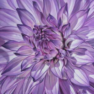 Dahlia violet, pastel sec, 21x28cm